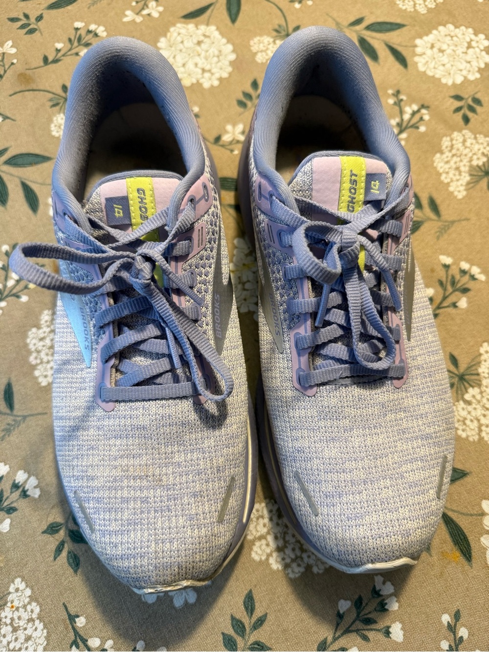Brooks Ghost 14 Women's Running Shoes